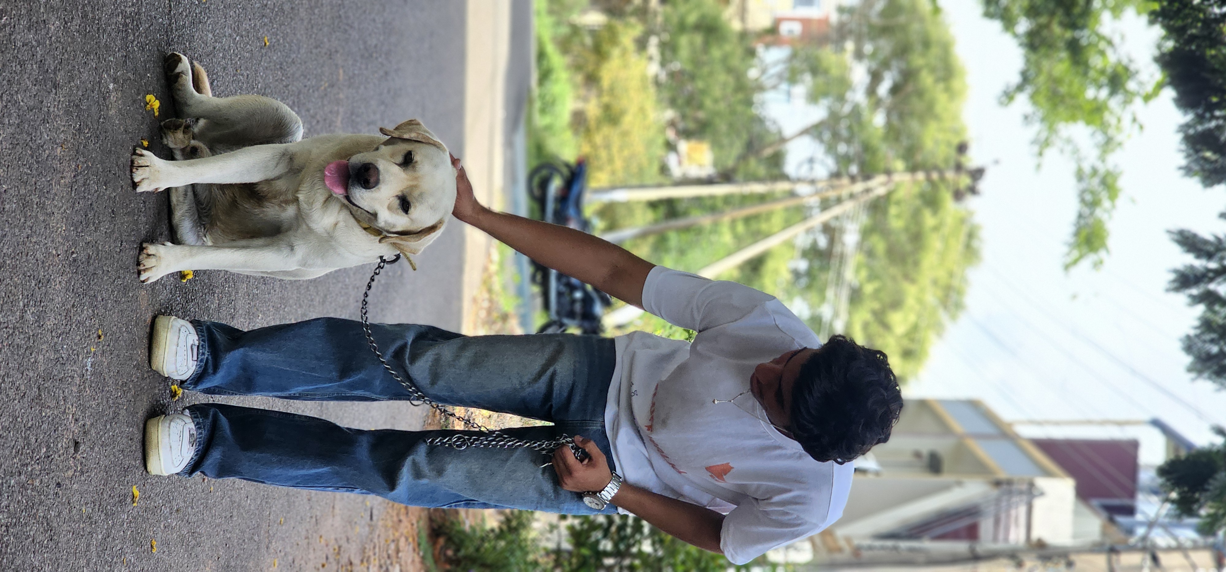 Pet walking in park